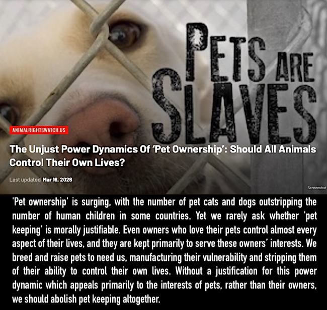 A_R_Watch's tweet photo. #AnimalRights #AnimalLiberation #AnimalJustice #AnimalWelfare #AnimalEthics #AnimalAdvocacy #AnimalCruelty #AnimalSentience #AnimalAgriculture #Speciesism #EndSpeciesism #EndFactoryFarming #Veganism #Vegan #GoVegan #EmptyCages #EmptyTanks #Pets #Cats #Dogs https://t.co/xL8UJiBfAG https://t.co/DgxwhmMYiJ