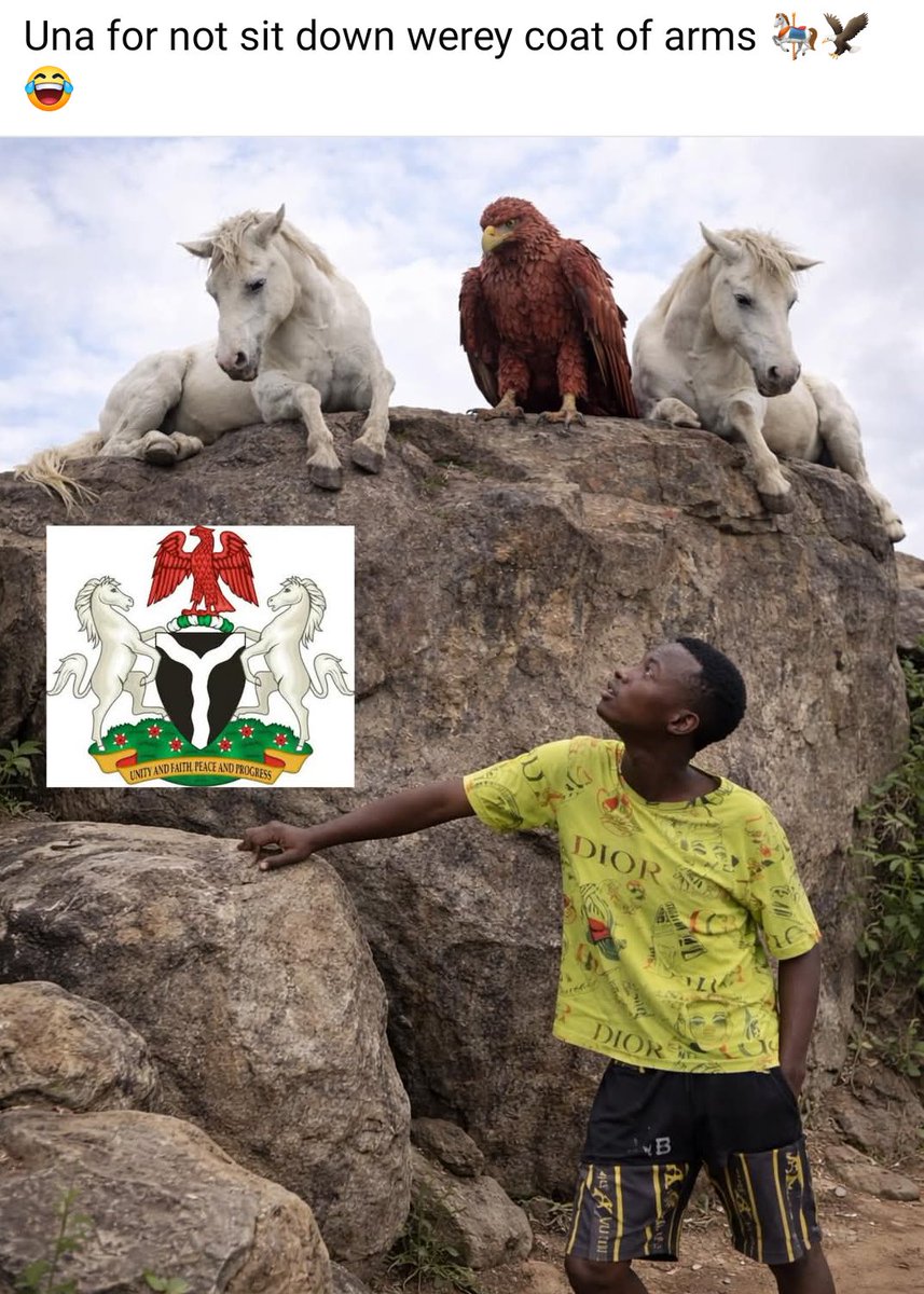 LobistarsFan🇳🇬 tweet media