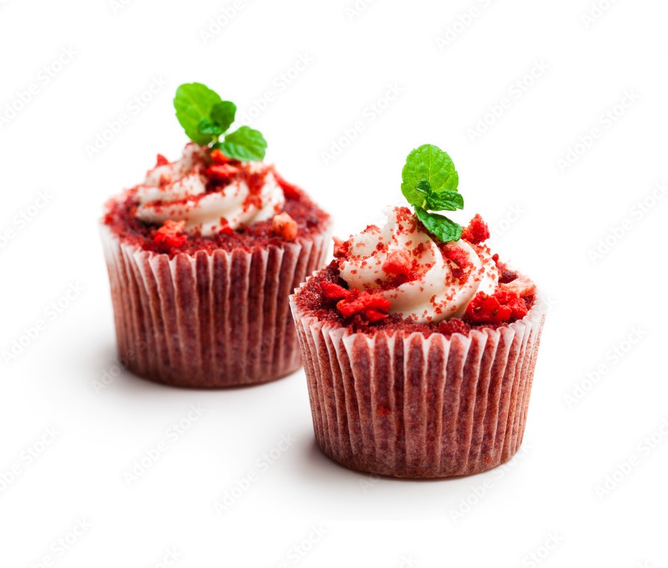 stevedragoo tweet media