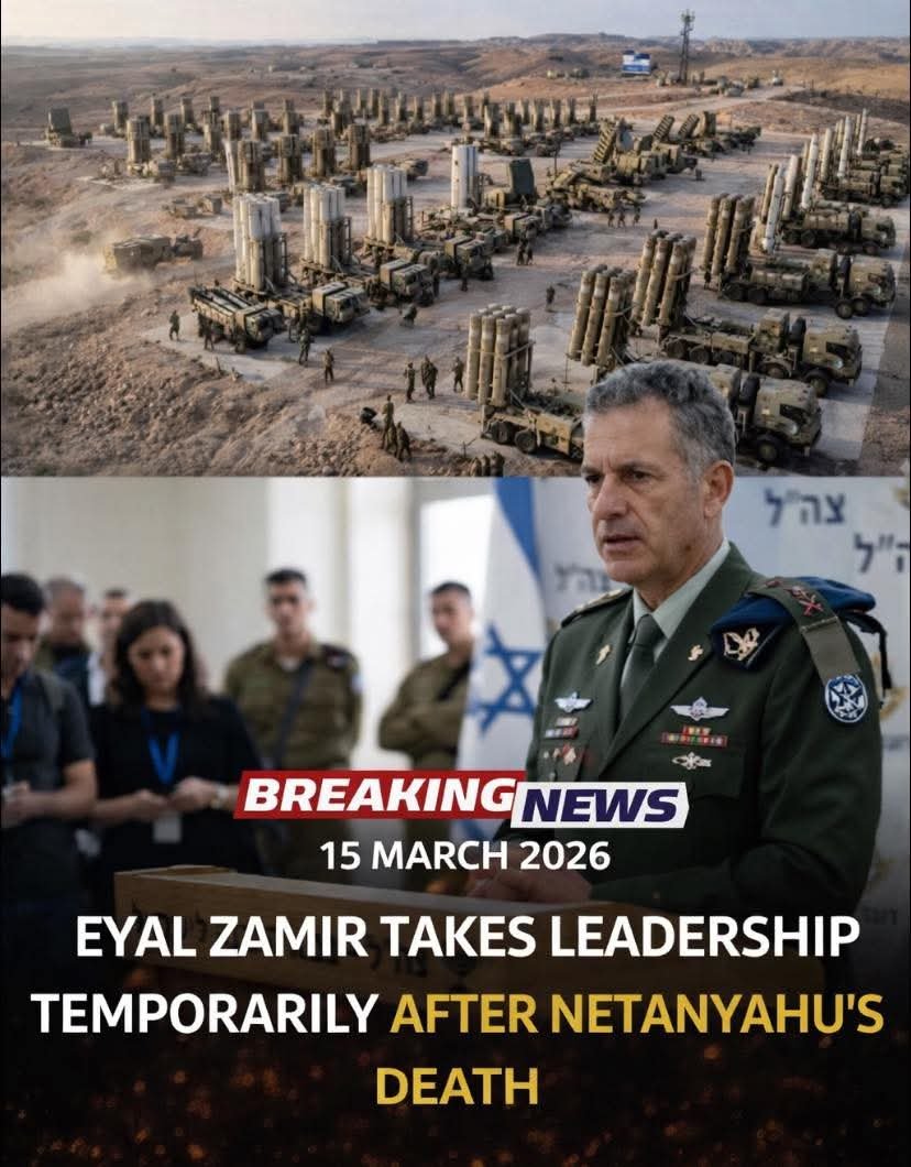 שיר קולמן הבן tweet media