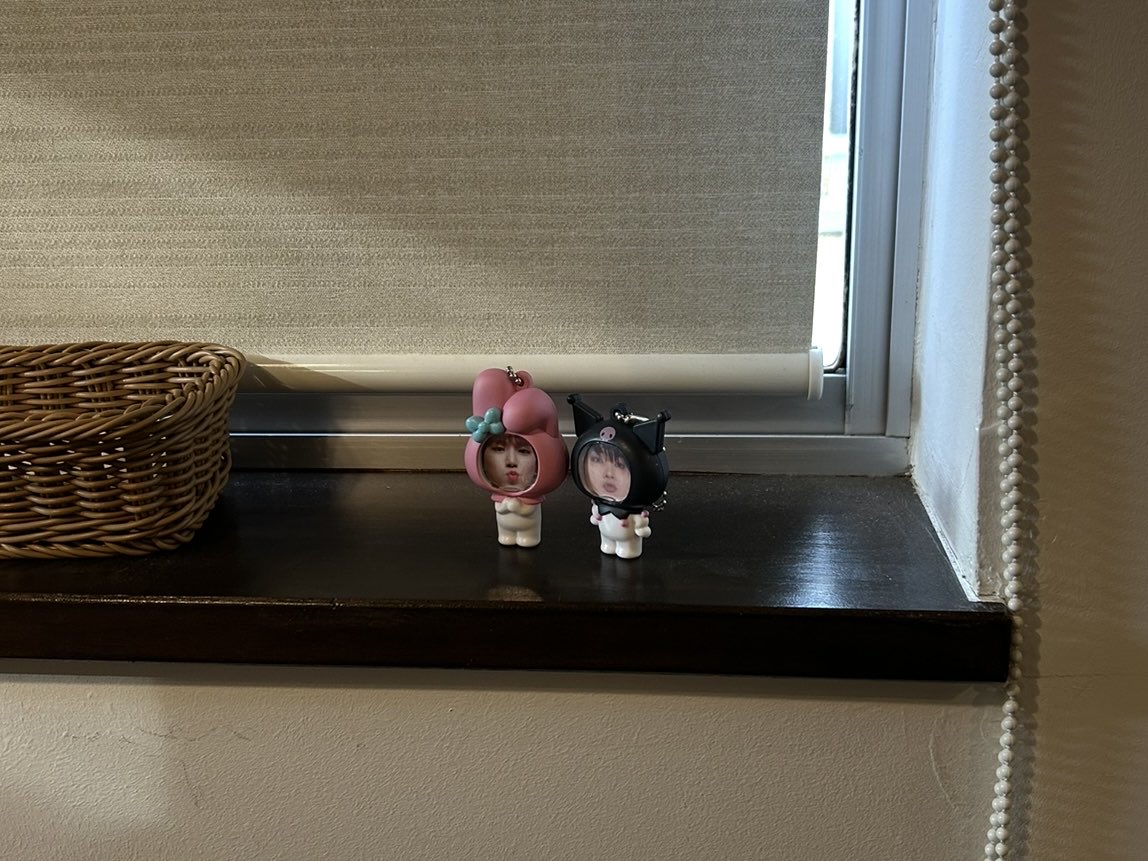 ウォヌリウをマイメロクロミでコラボってみたり、、