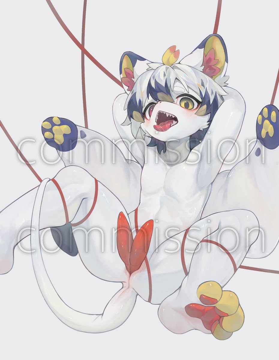 冷吃兔♪ tweet media