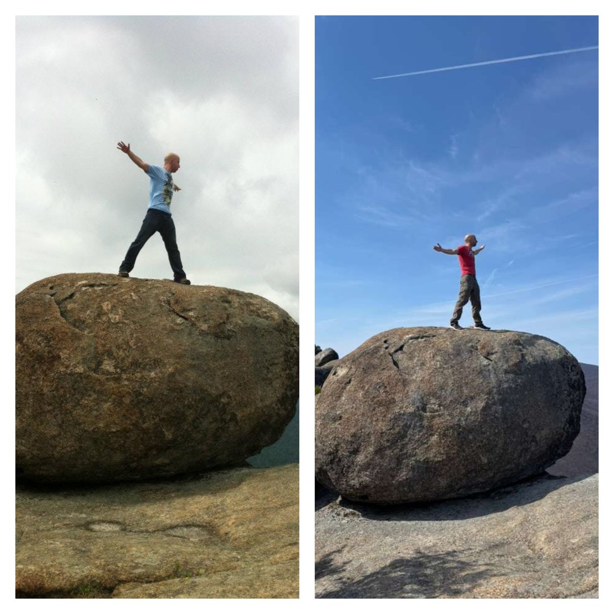 David Greisman tweet media