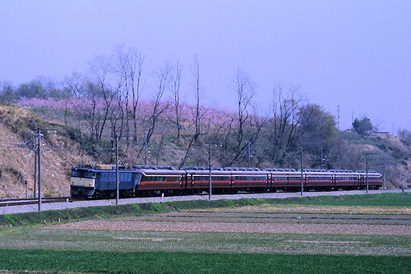 川本幹彦（カモさん） tweet media