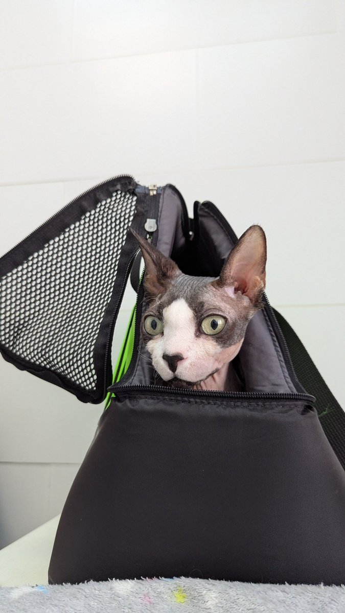 дерун-волонтер tweet media