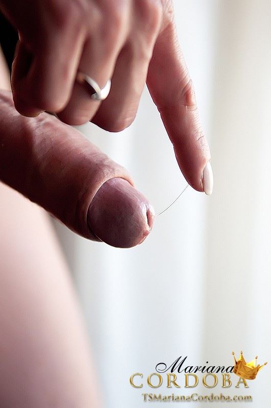 Angeles Cid tweet media