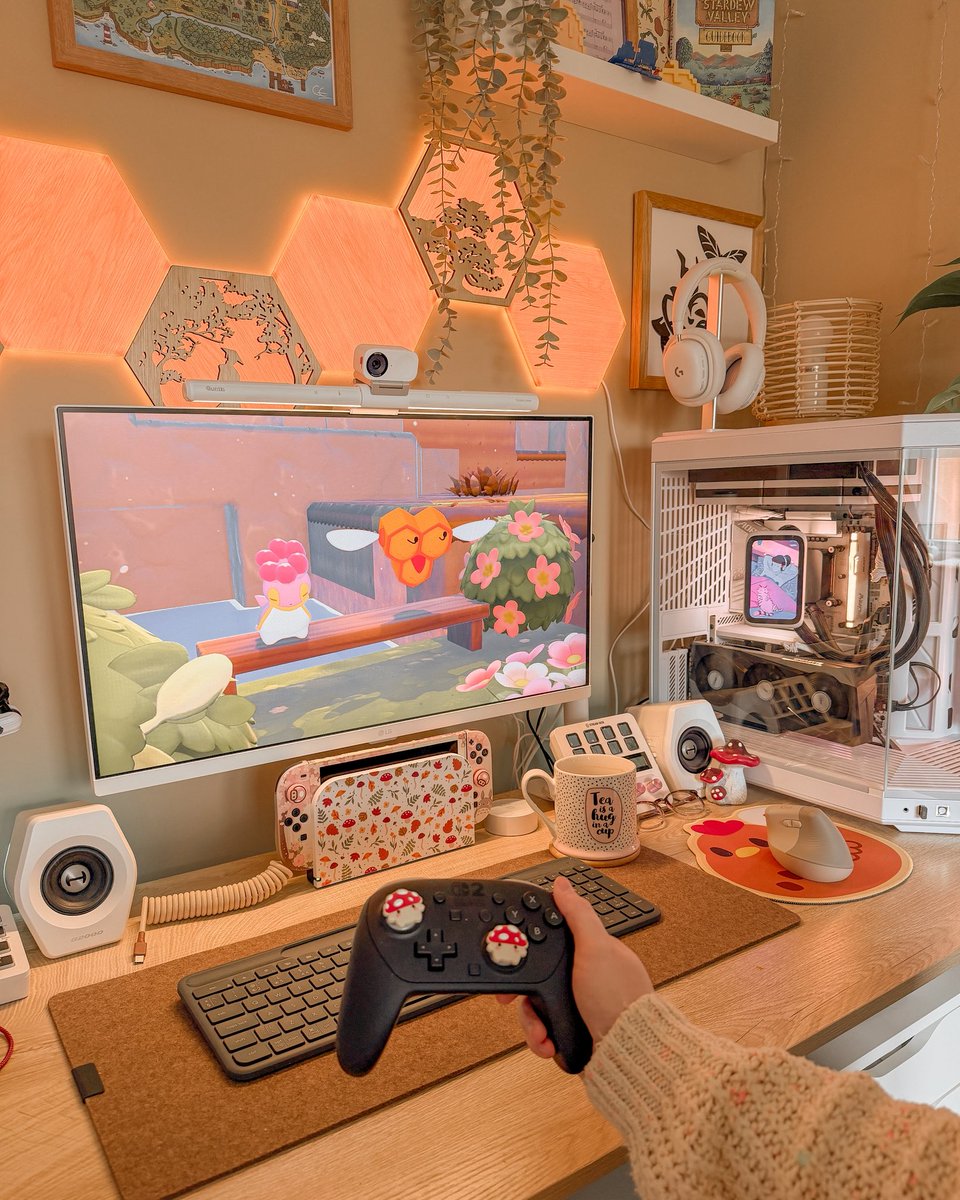 Kiwi🥝 tweet media