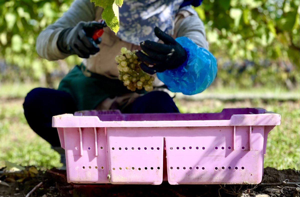 Rick VanSickle tweet media