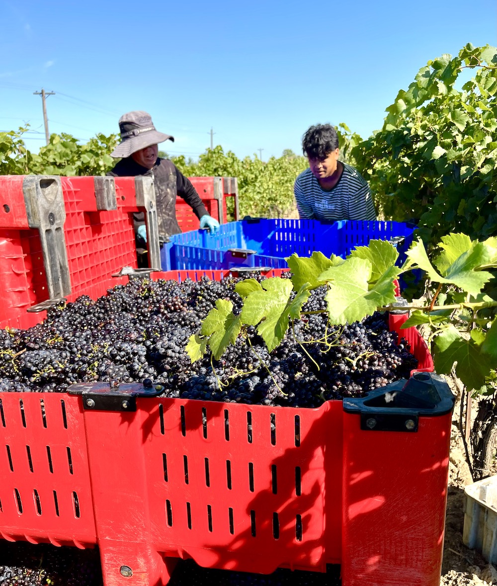 Rick VanSickle tweet media