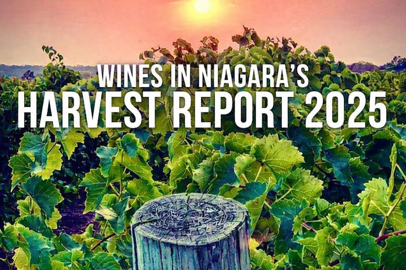 Rick VanSickle tweet media