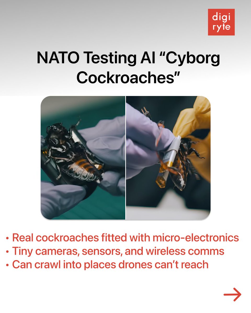 Digiryte tweet media