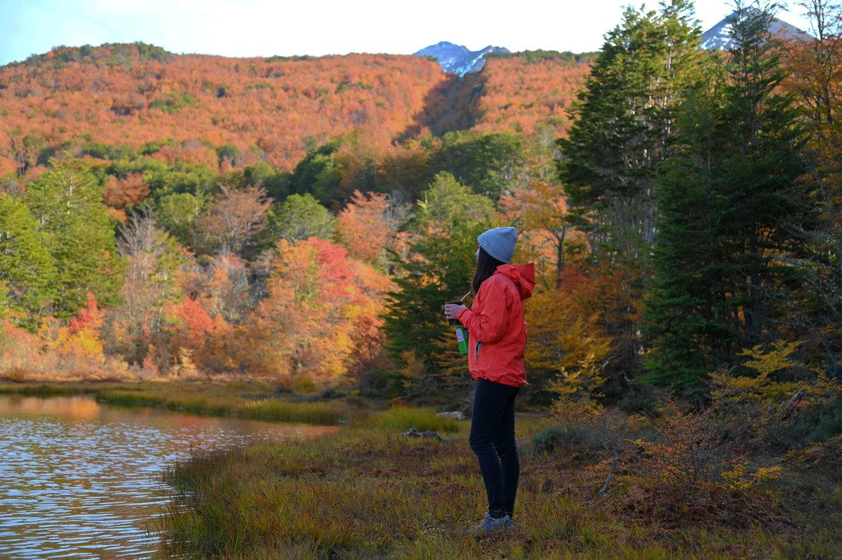 Instituto Fueguino de Turismo tweet media