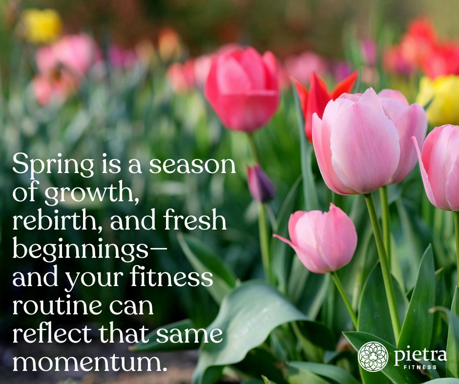 PIETRAFITNESS's tweet photo. Winter to Spring: How to Safely Transition Your Fitness Routine with the Season

Visit: https://t.co/ygNQIdCqFj

#PietraFitness #FitnessRoutine #CatholicFitness https://t.co/PIKNd0QIGk