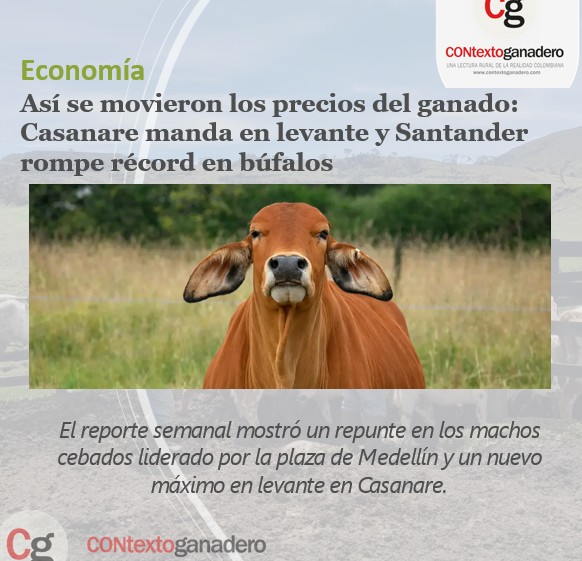 PL OCAÑA-PASION GANADERA tweet media