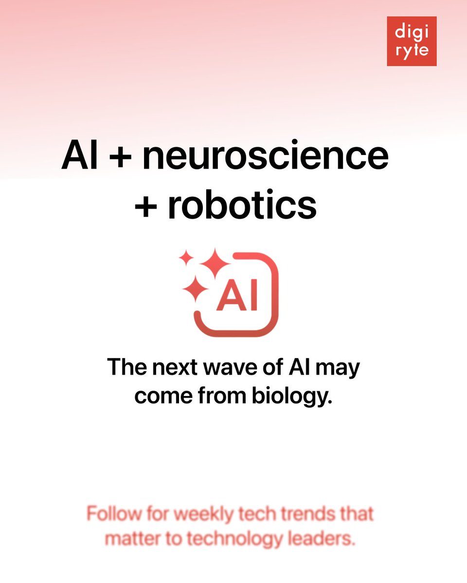 Digiryte tweet media