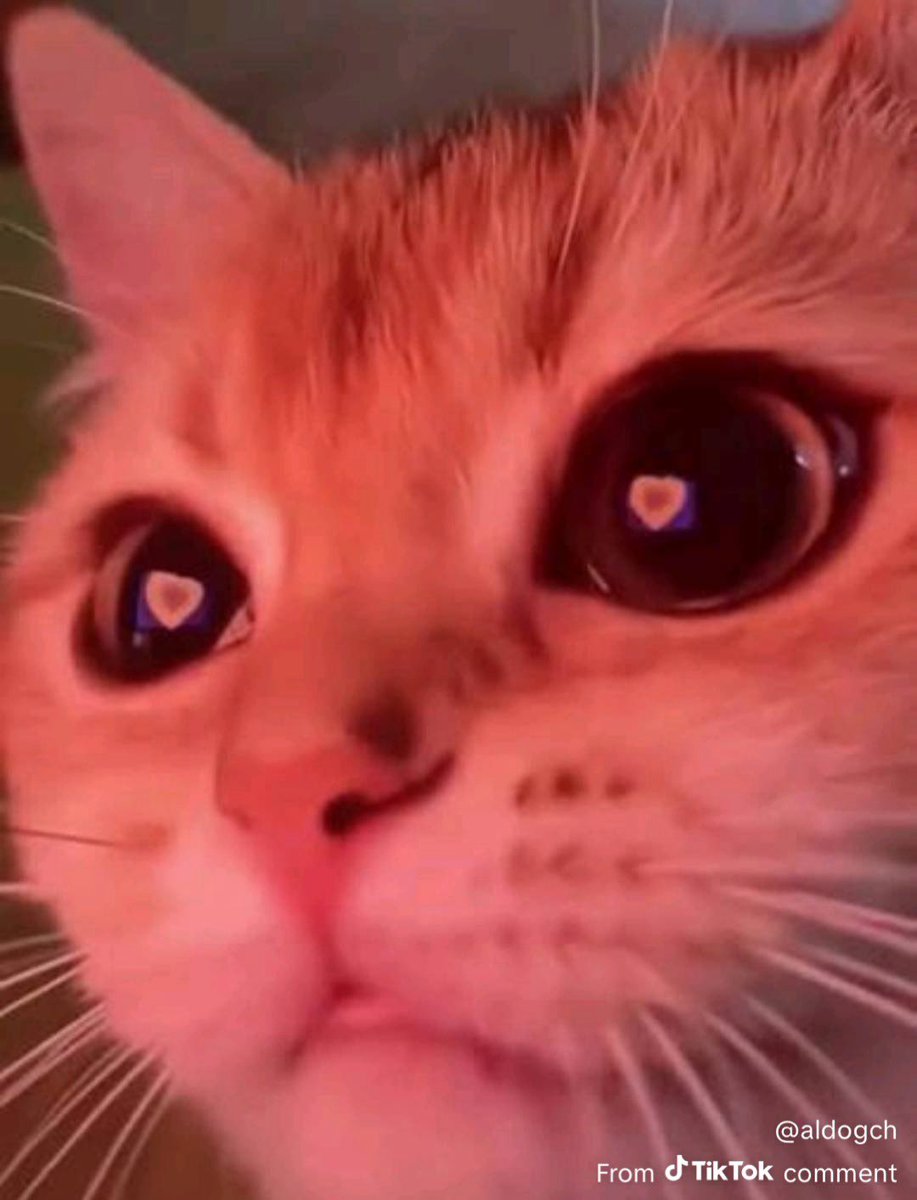 Julio Mendoza tweet media