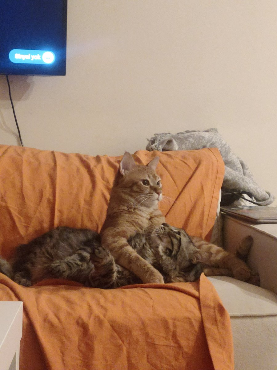 ÇABUKK ÇEKTİĞİM FOTONUN ROMANTİKLİĞİNE BAKINN🥺