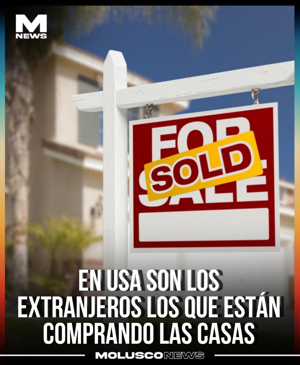 Molusco tweet media