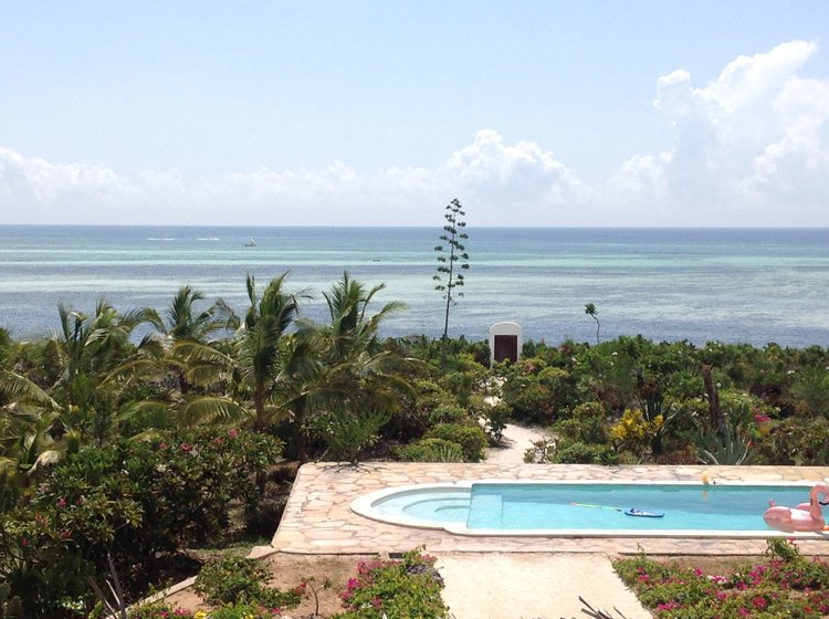 Mseto Travel Experiences tweet media