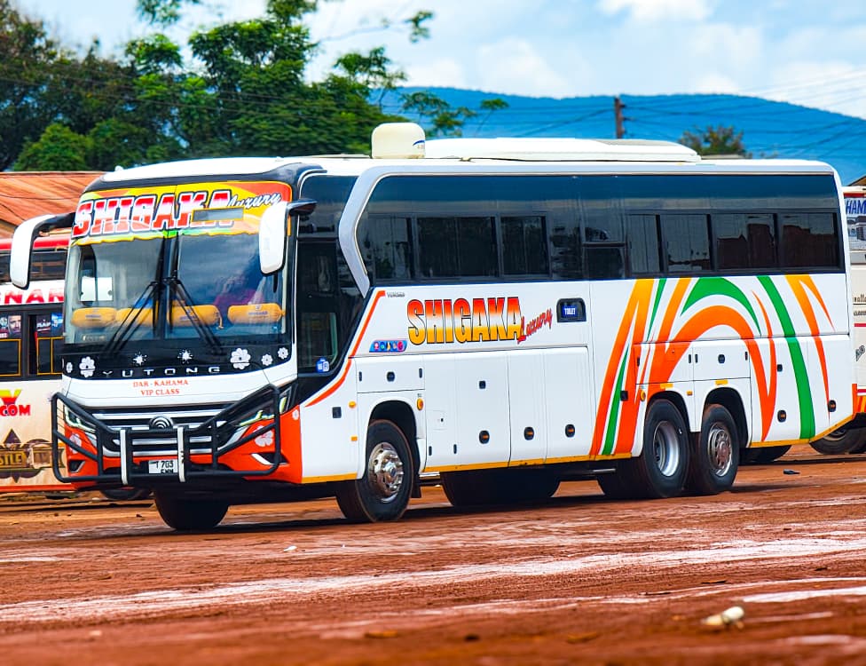 TBoundBuses's tweet photo. #KidimbwiBusTerminal
@Gomajr41 📸 https://t.co/wAJGmZqhGd