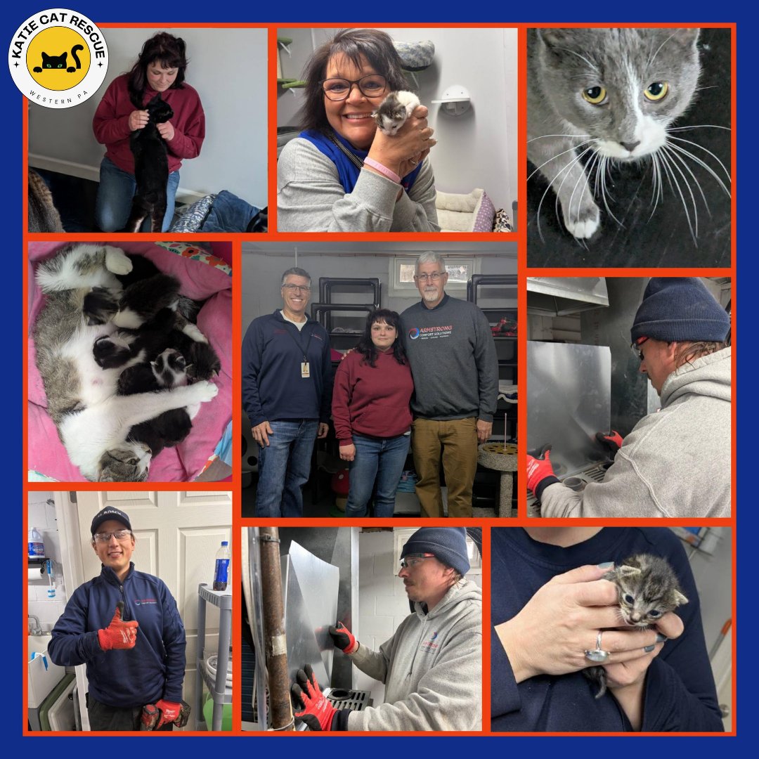 ArmstrongHVAC's tweet photo. We installed a new AC unit at Katie’s Cat Rescue — free of charge — at their new facility near downtown Butler! Thanks to donated equipment from our supplier, it’s one small way we can give back. 🐾
Adopt: https://t.co/tYF4CmRyV2
Donate: https://t.co/sYzscKBH14 https://t.co/JcpC5bVjpp