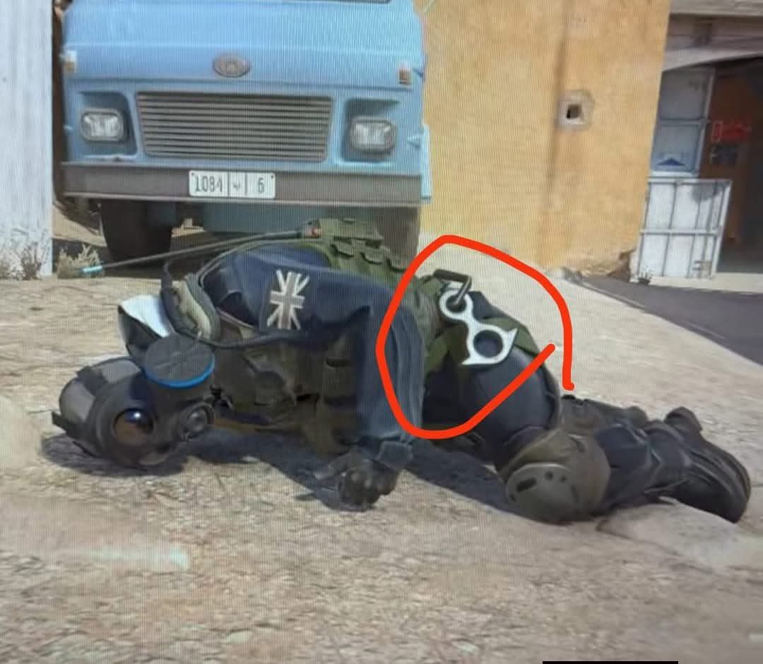 The_Bullet 🇵🇹 tweet media