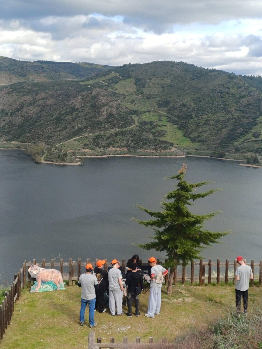 Geopark Terras de Cavaleiros tweet media