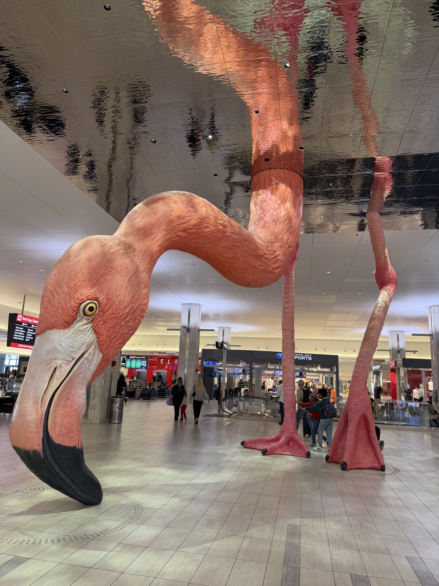 Nine8Twelve tweet media