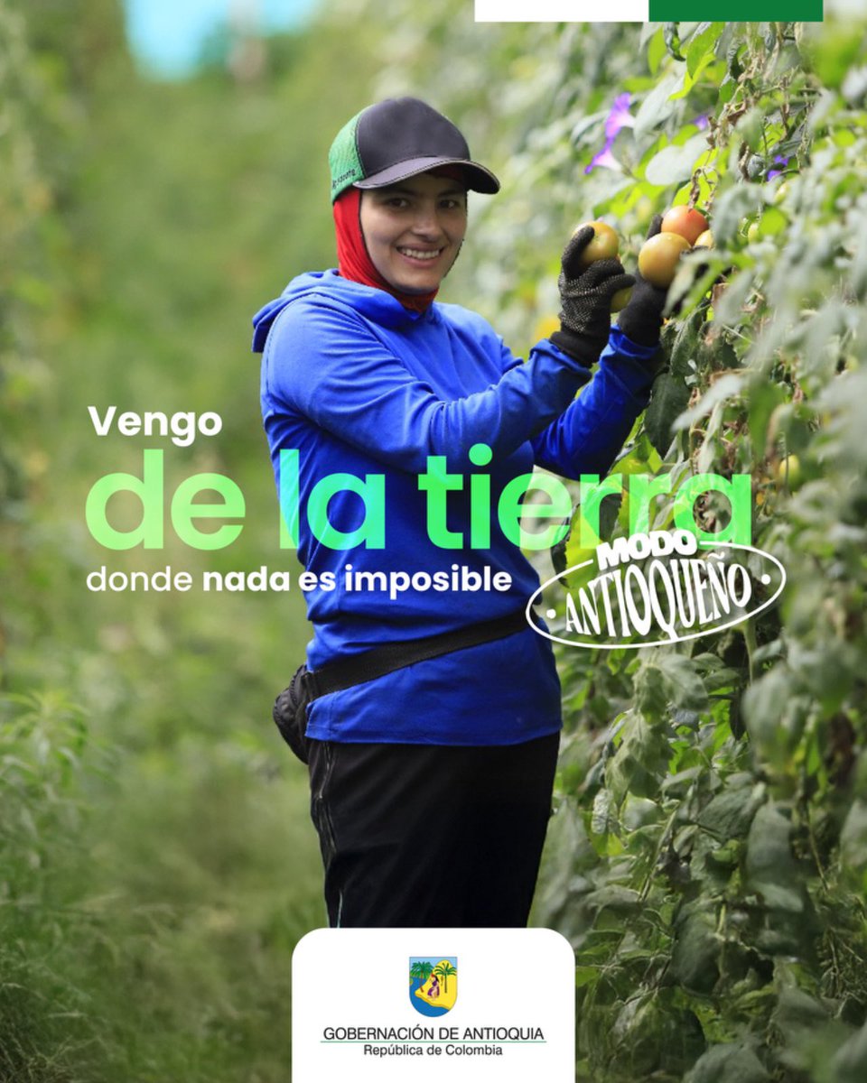 Gobernación de Antioquia tweet media