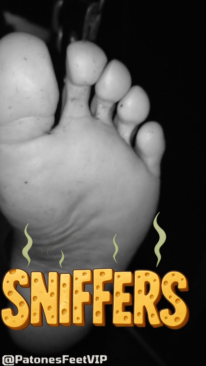 patones.f2 tweet media