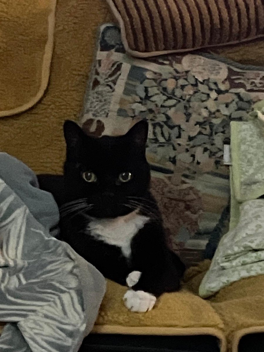 Diane Perrin tweet media