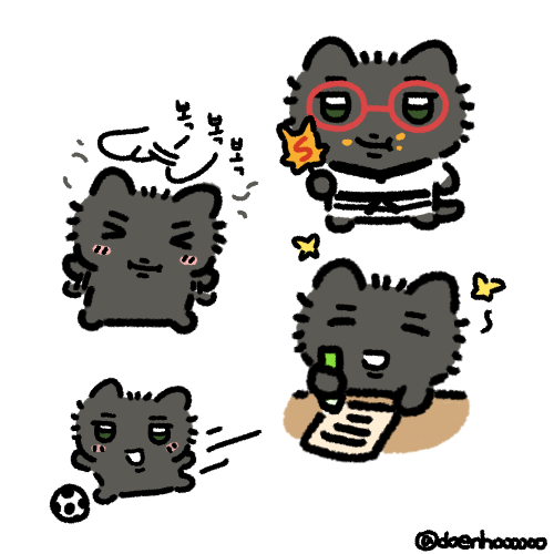 초딩캣 하미미의 하루