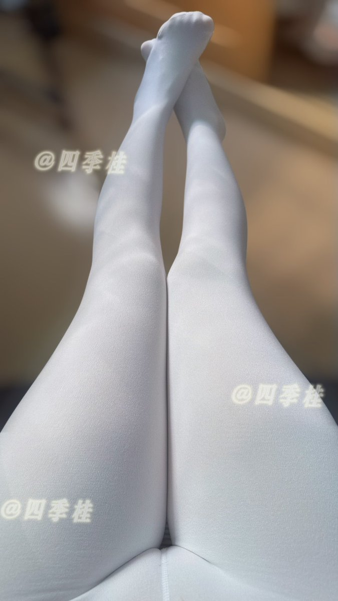 四季桂 tweet media