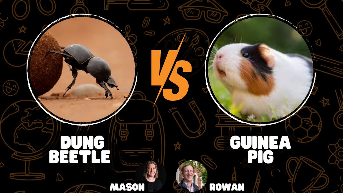 UT Animal Science tweet media