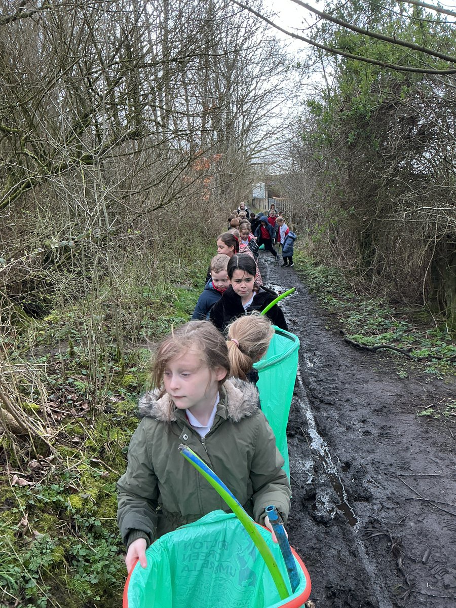 St Saviour CE School tweet media