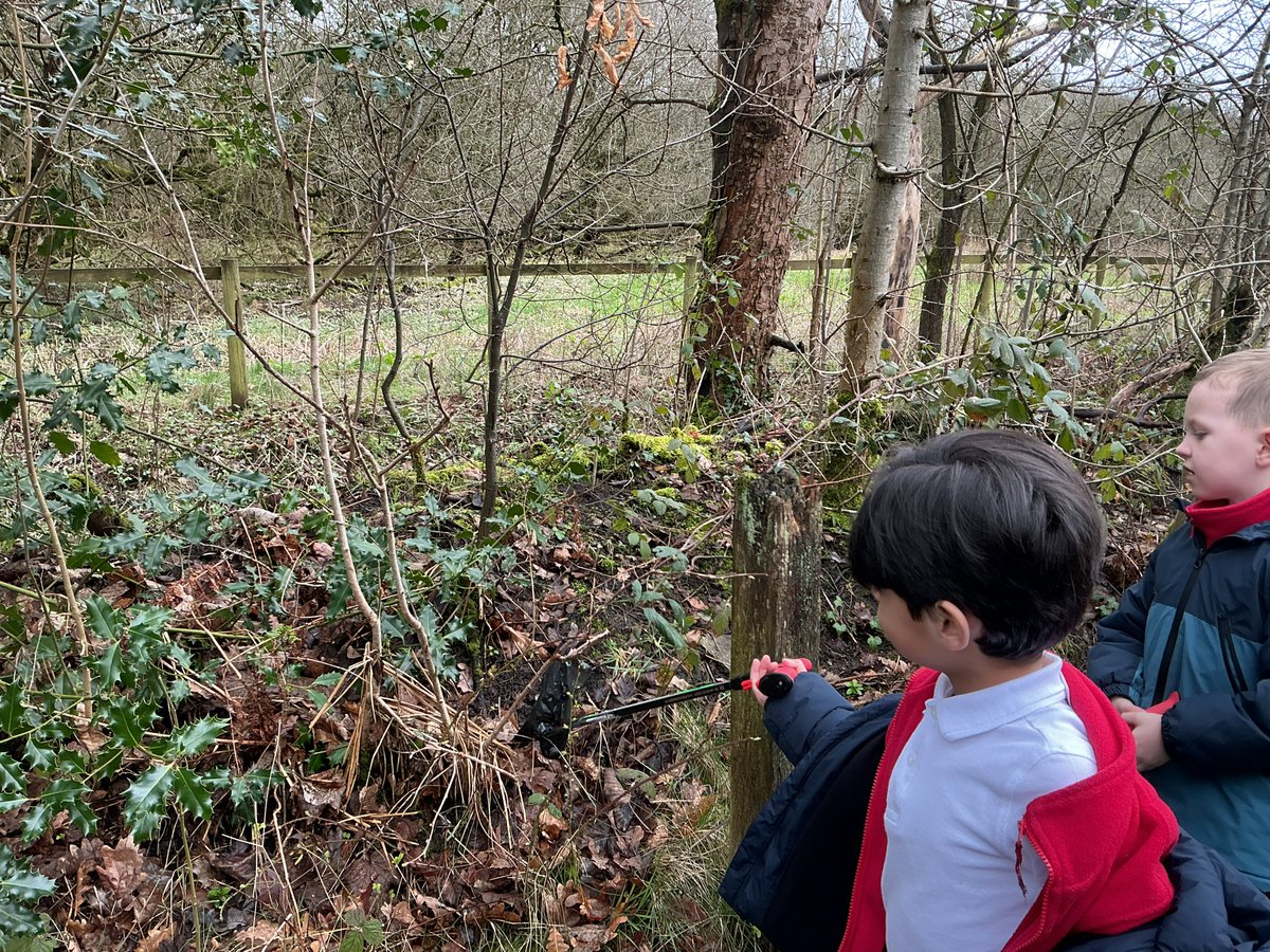 St Saviour CE School tweet media