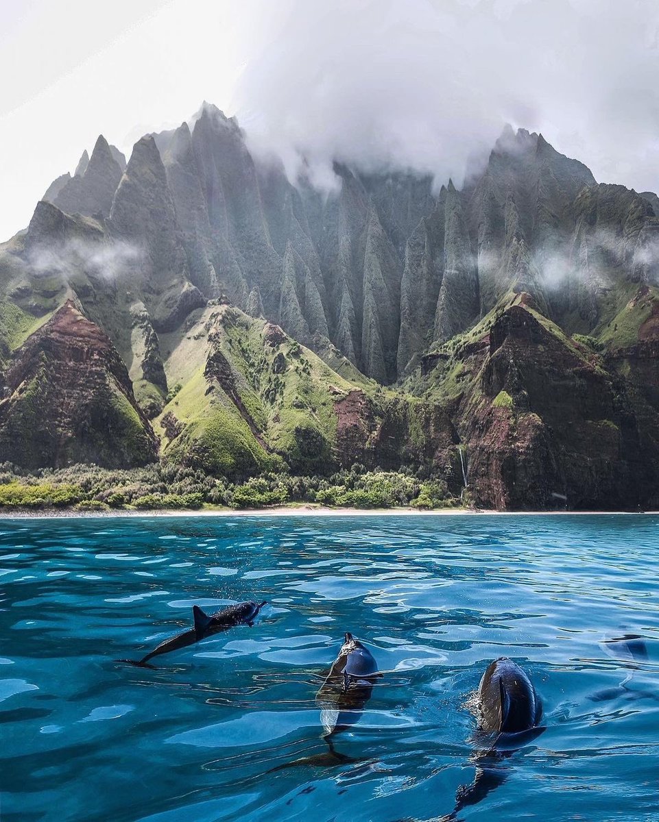 lilyavibe's tweet photo. Napali Coast, Hawaii https://t.co/foGqeCvUcD