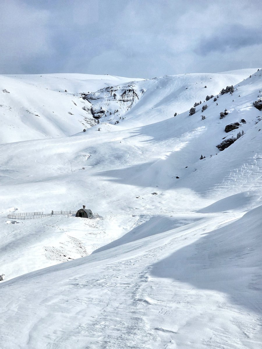 Miguel Angel Salor tweet media