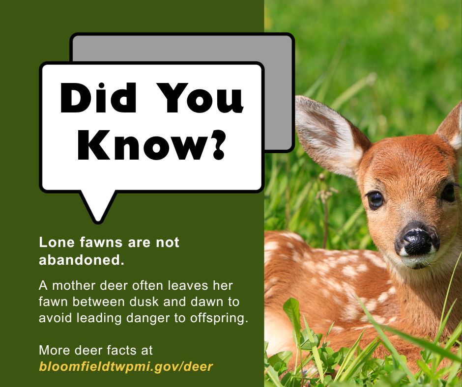 Bloomfield Township Government tweet media