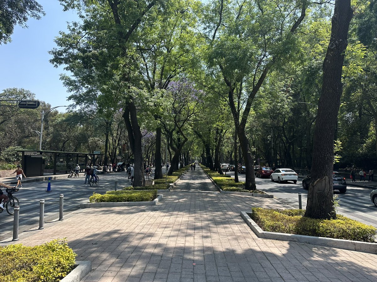 Damon Zumbroegel tweet media