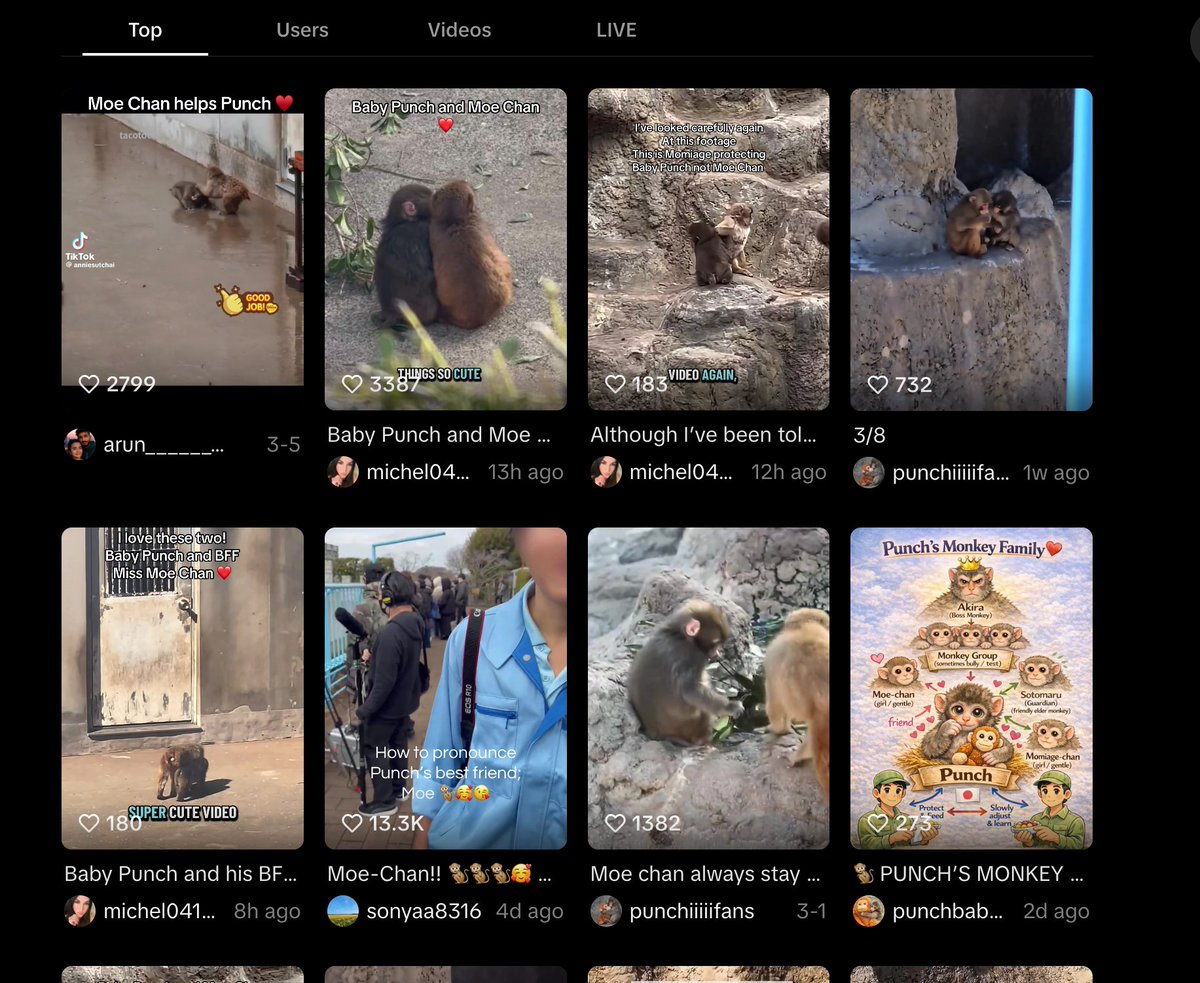 rant_sol tweet media