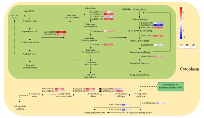 Plant Cell Reports tweet media