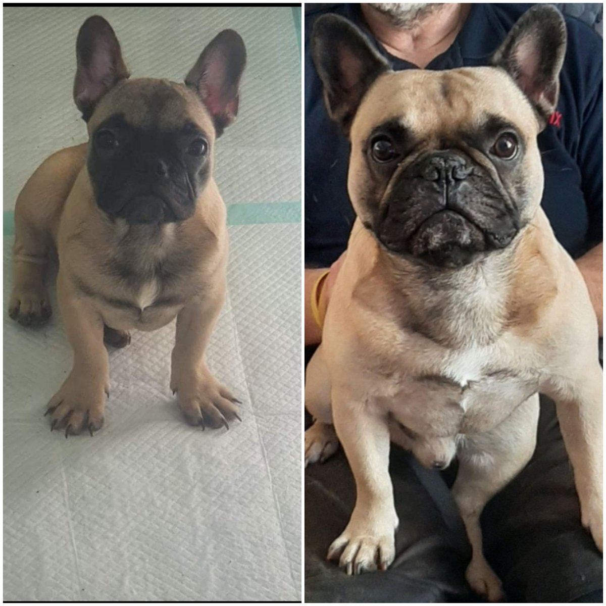 Hayley 💙💙💙 tweet media