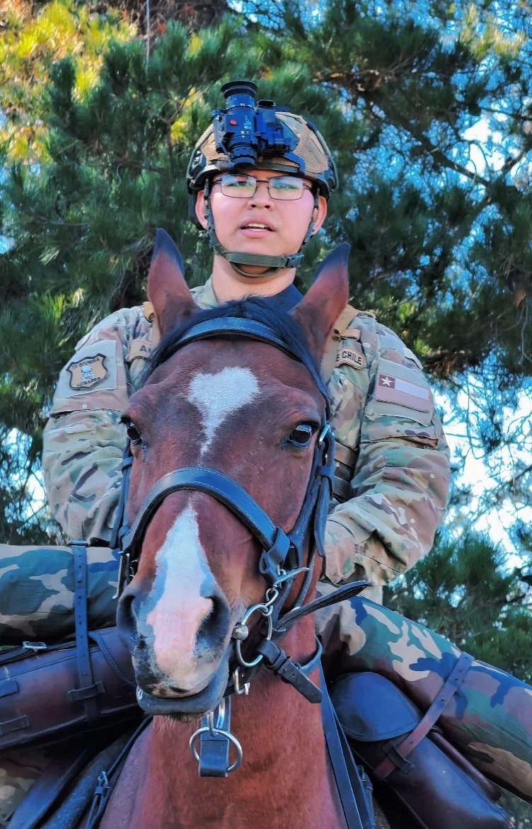 Ejército de Chile tweet media