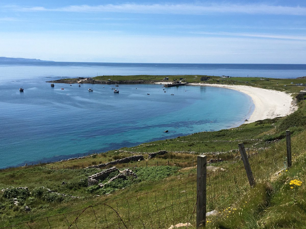 Bernard Dooley tweet media