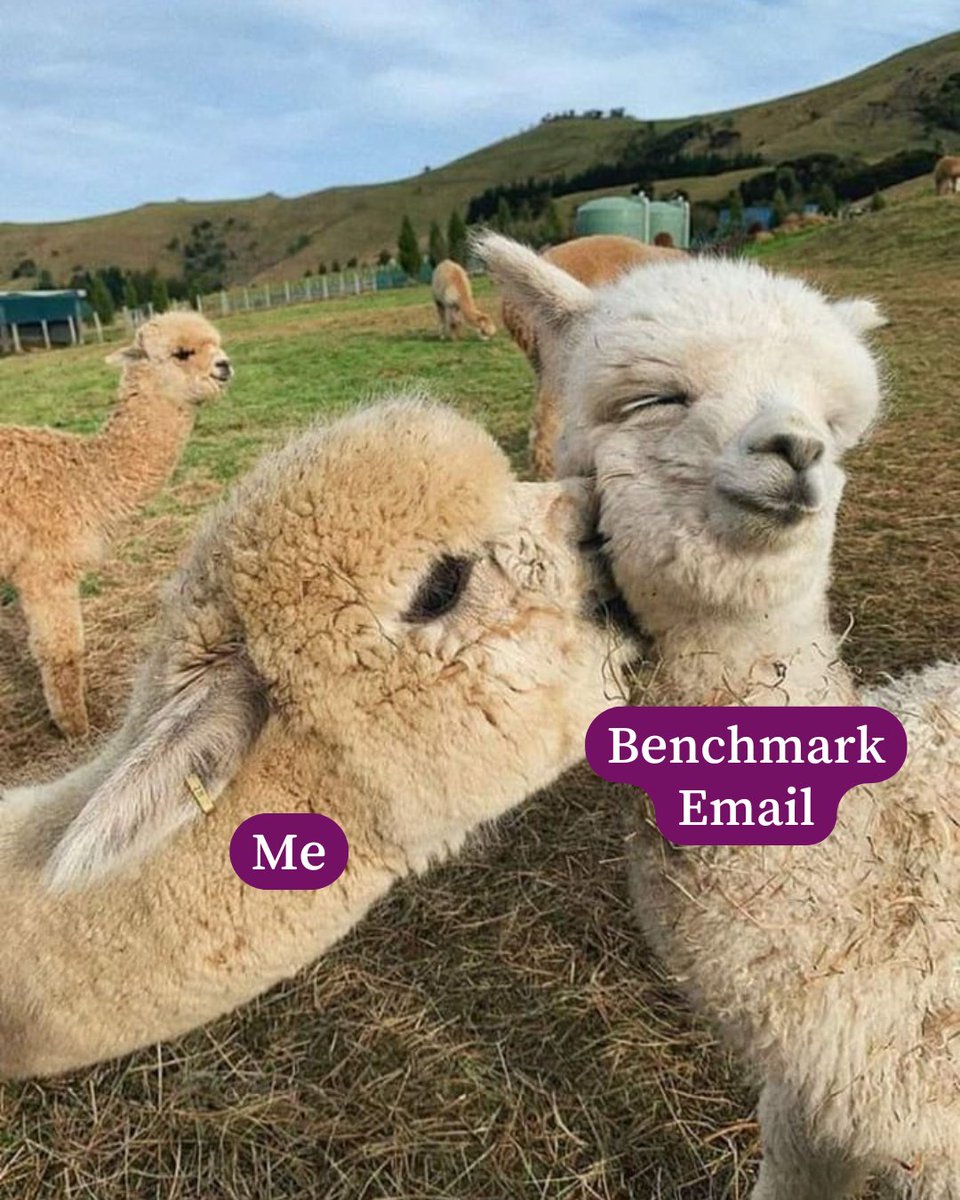 Benchmark tweet media