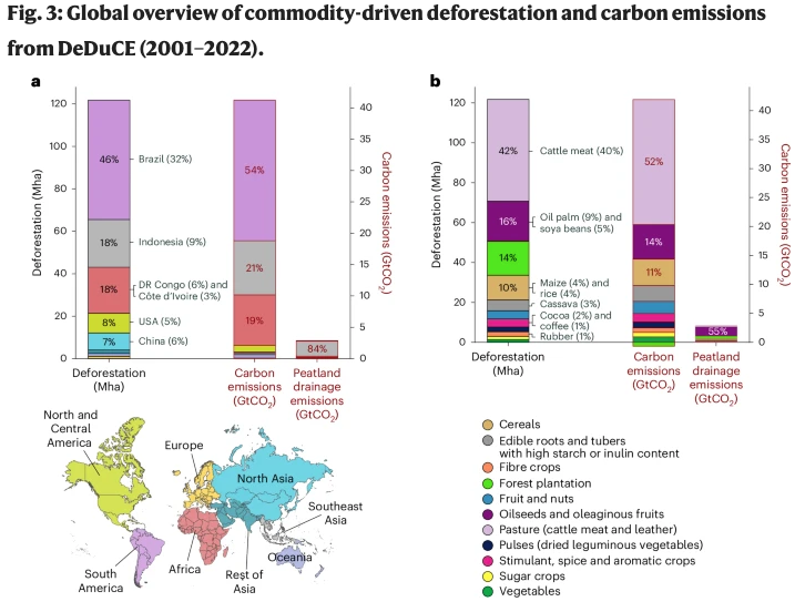 Elliot Swartz tweet media