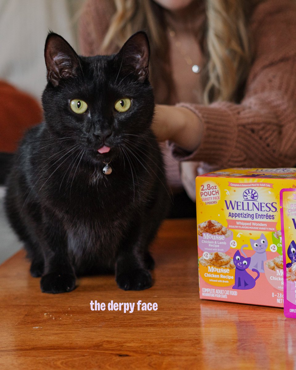 Wellness Pet Food tweet media