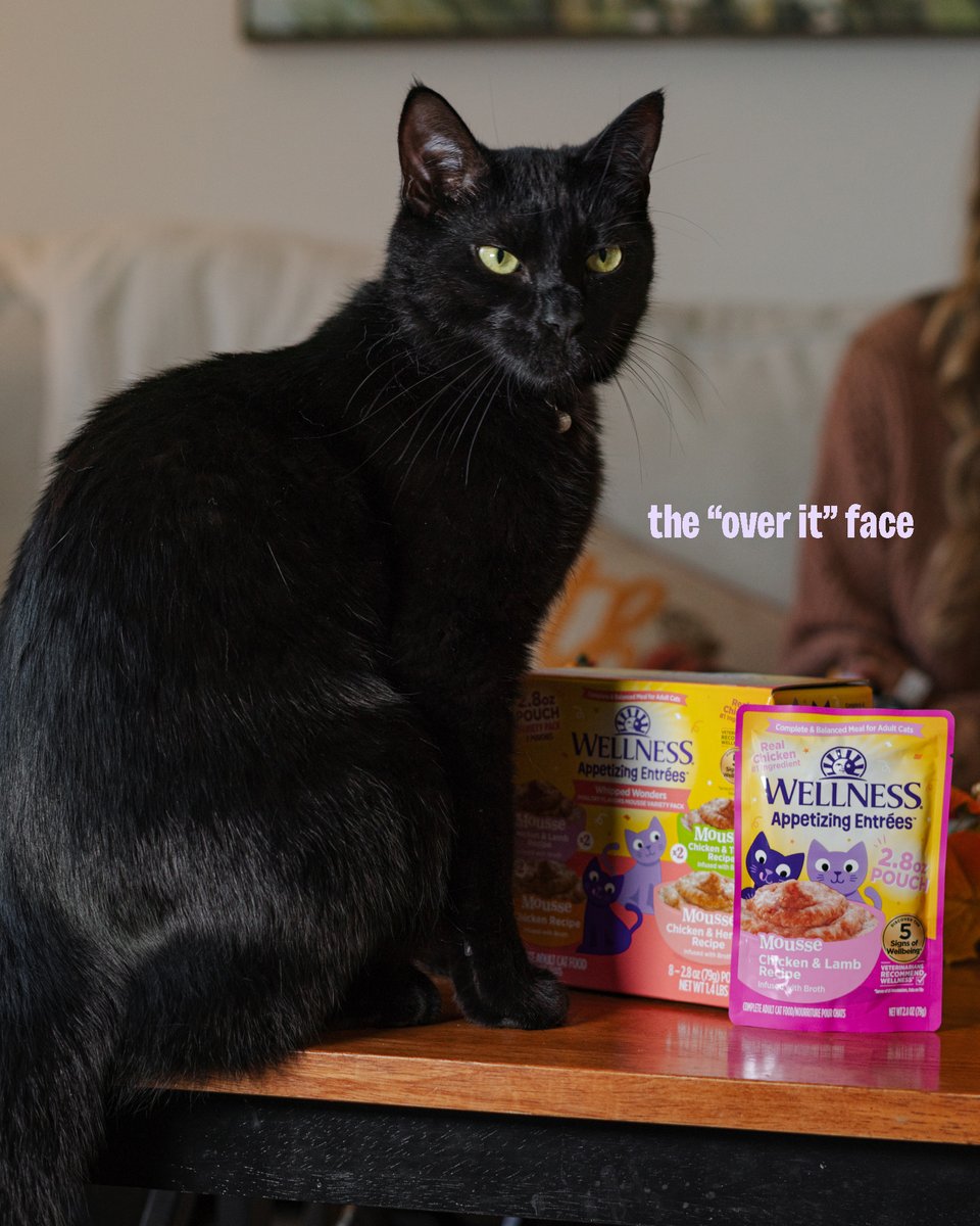 Wellness Pet Food tweet media