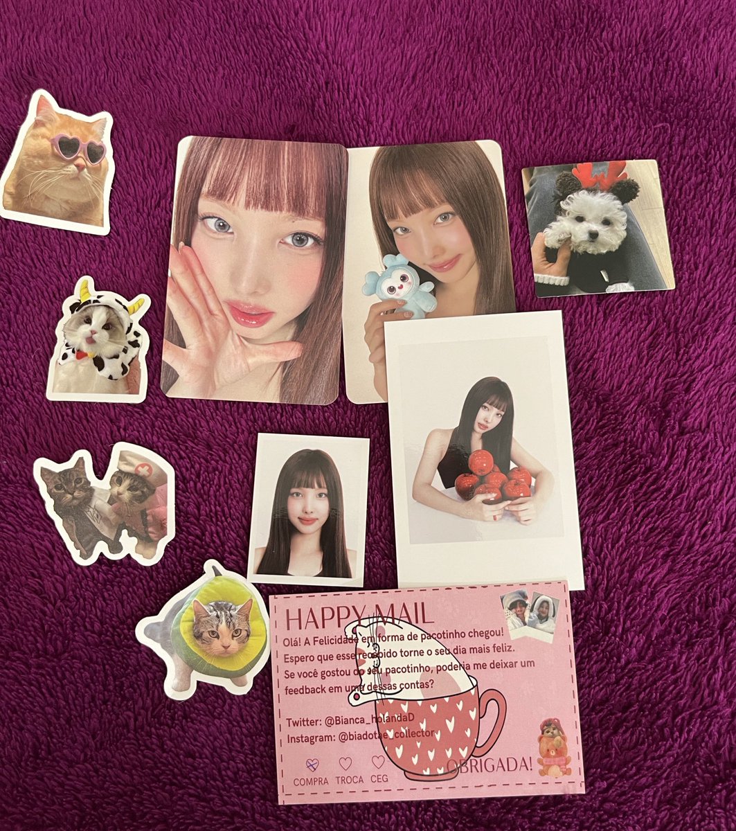 dara ᥫ᭡ tweet media